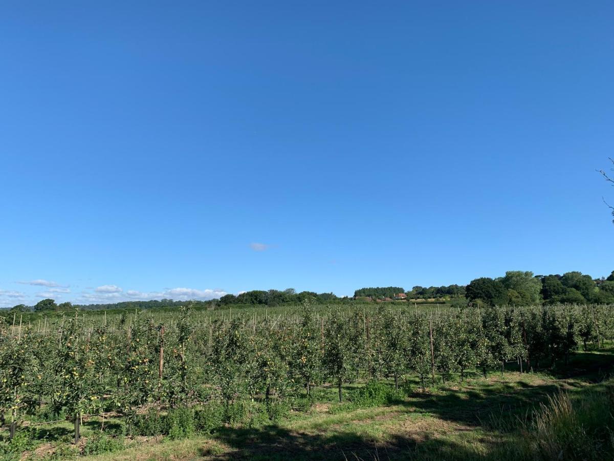 Blackberry Cottage Sutton Valence المظهر الخارجي الصورة