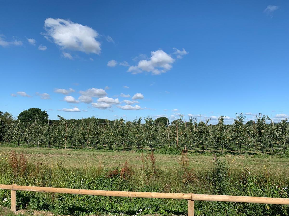 Blackberry Cottage Sutton Valence المظهر الخارجي الصورة